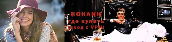 дживик Алзамай