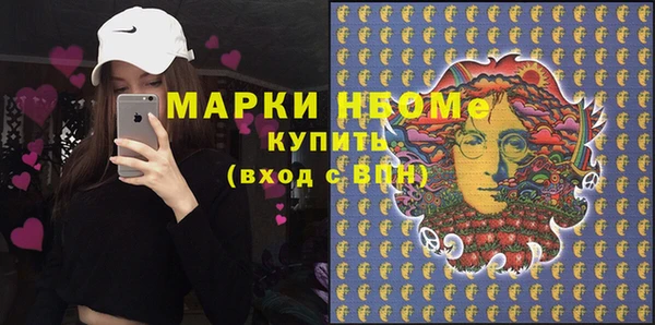 шишки Алексин