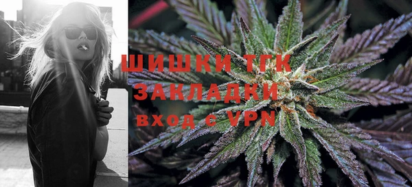 шишки Алексин
