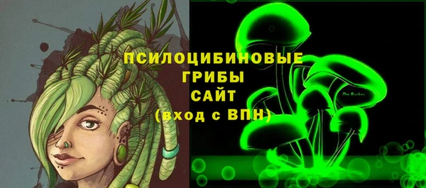 шишки Алексин