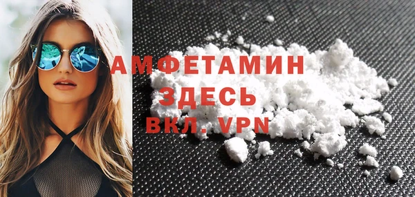 шишки Алексин