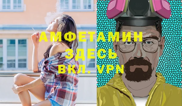шишки Алексин