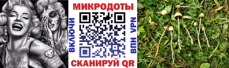 цены наркотик Рубцовск Псилоцибиновые грибы Psilocybine cubensis